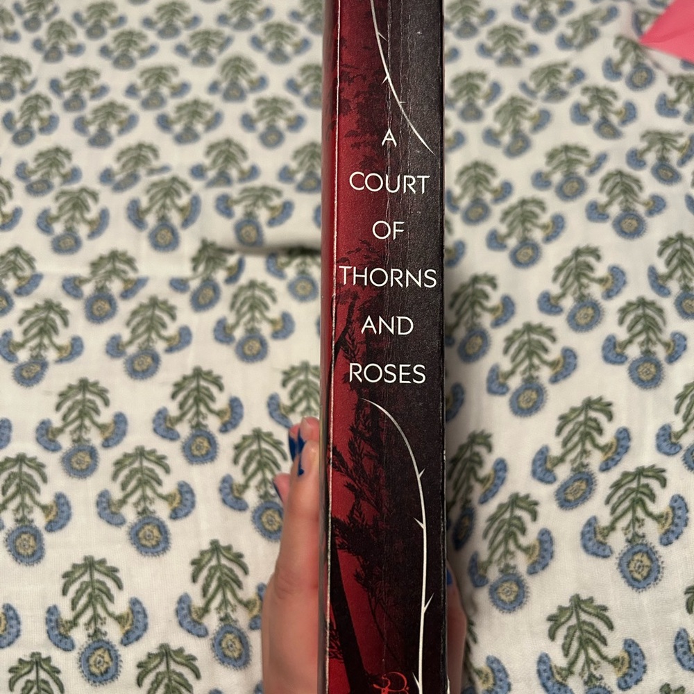 A Court of Thorns and Roses Book - Picture 3 of 8